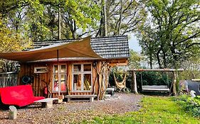 Tiny House/Waldhaus - Westerwald